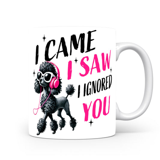 Hrnek s vtipným nápisem – I CAME I SAW – černo-růžový motiv