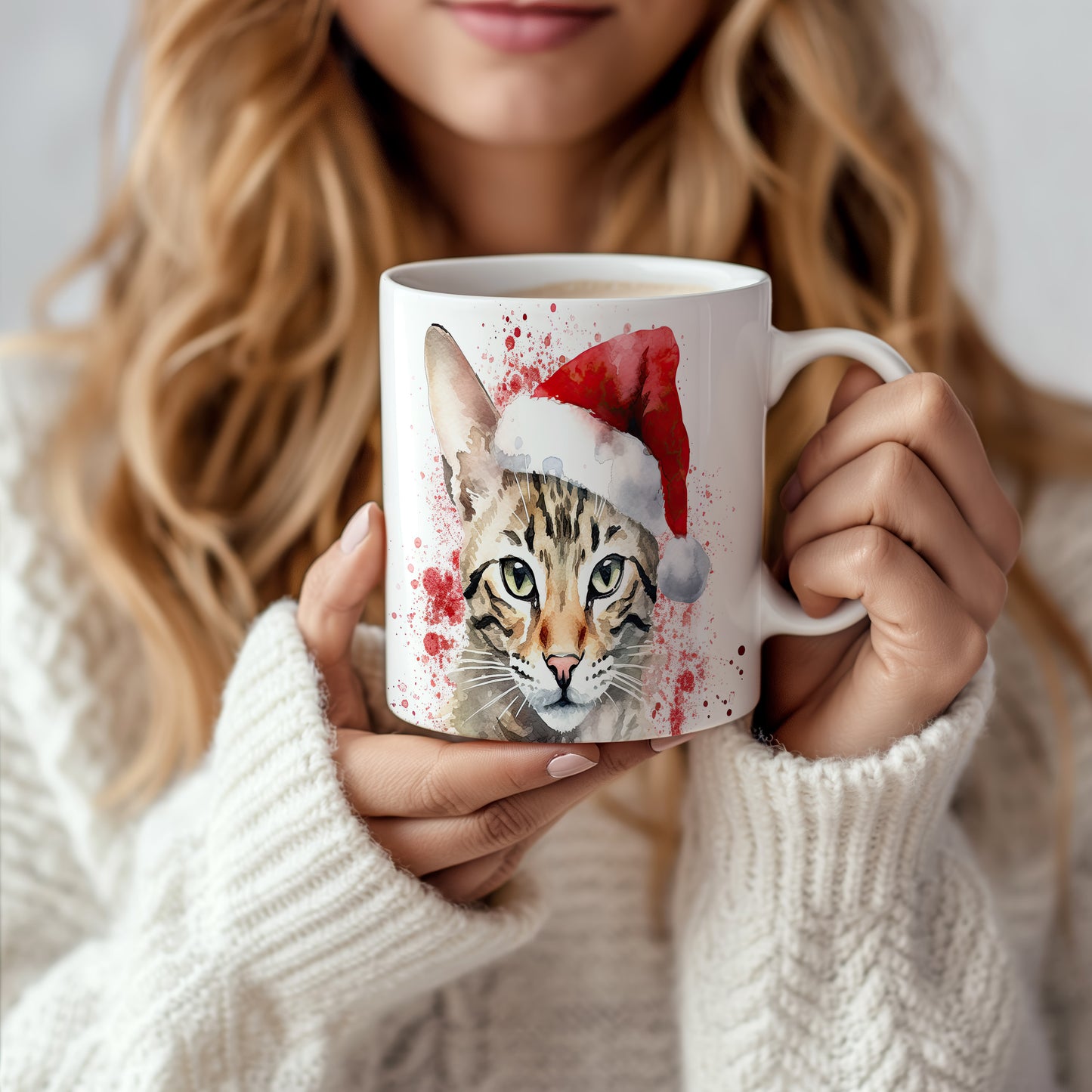 Hrnek s kočkou v čepici Santa – stylovým zpracováním