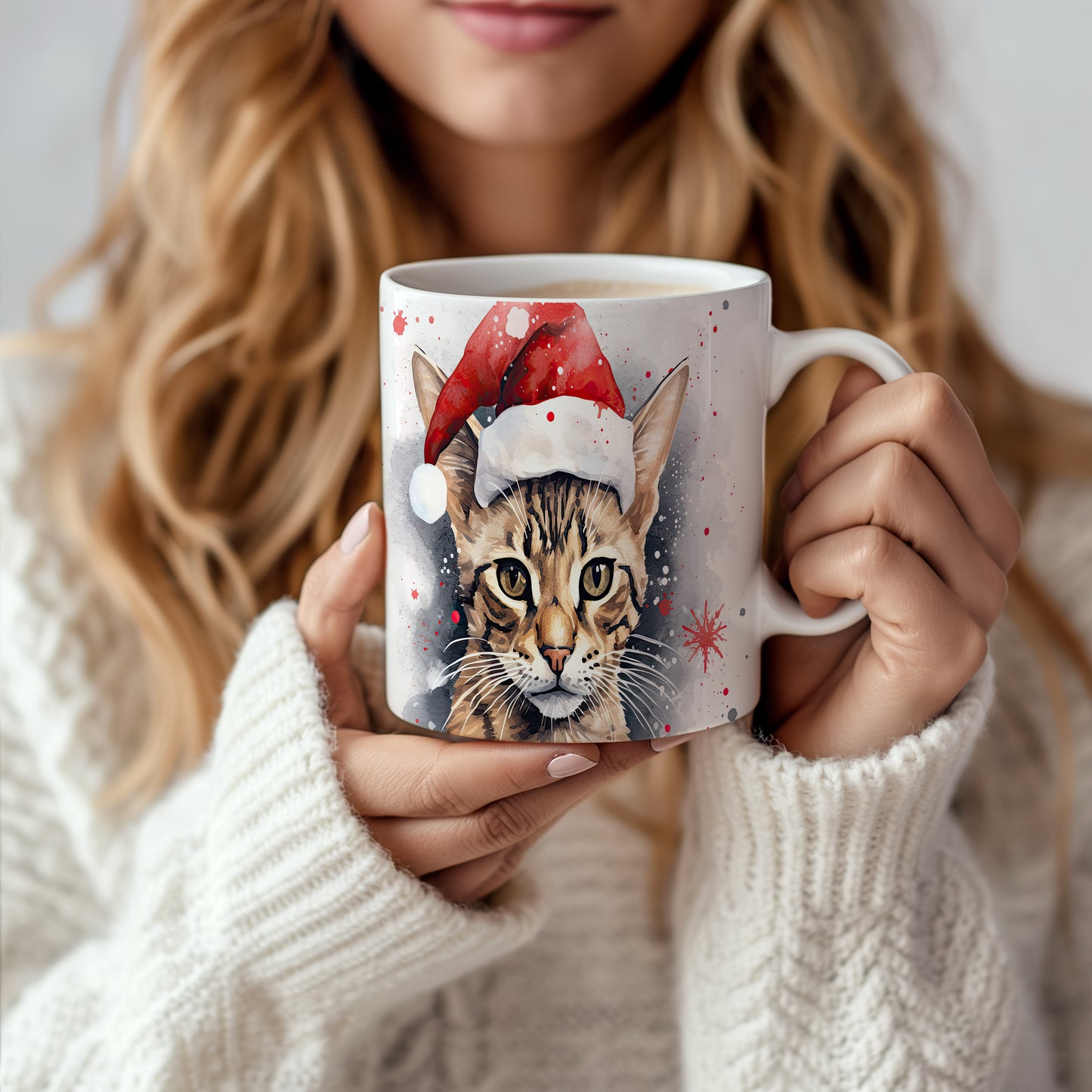 Hrnek s kočkou v čepici Santa – dárkovým tipem